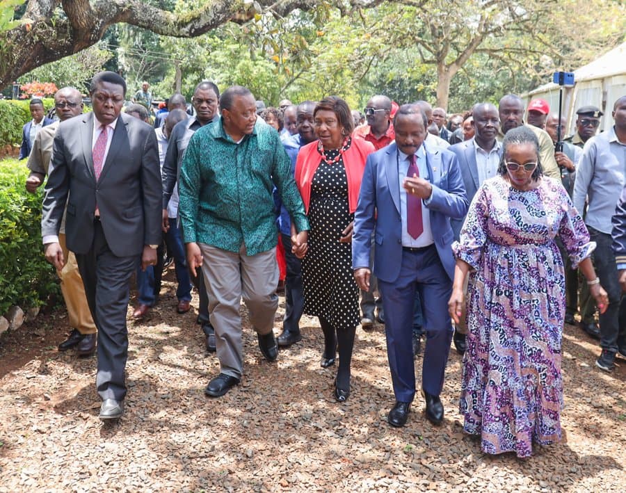 Uhuru calls on political leaders to protect democratic freedoms, respect political diversity - Citizen Digital
