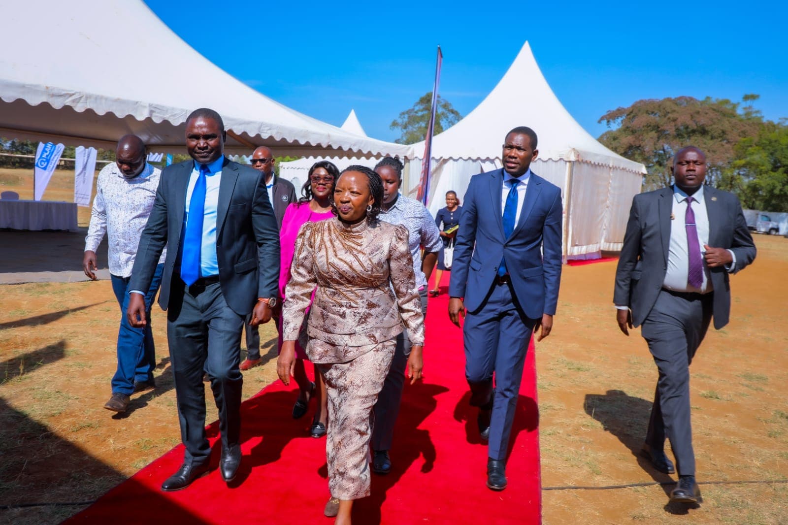 Govt targets to end triple threat by 2027, First Lady says