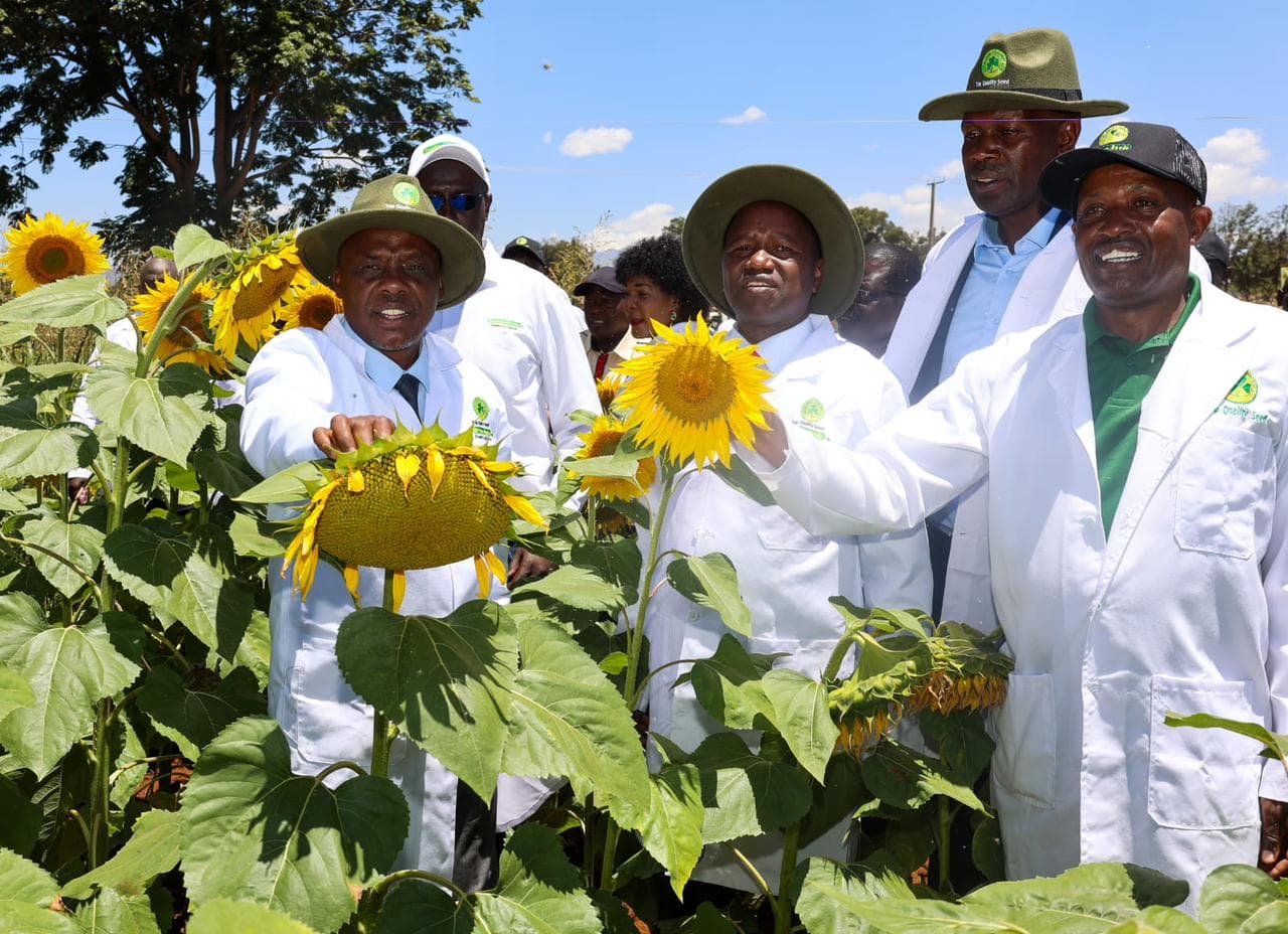 Kenya Seed Company Marks 70 Years of Growing a Nation