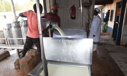 Warnings issued over milk safety amid ongoing shortages