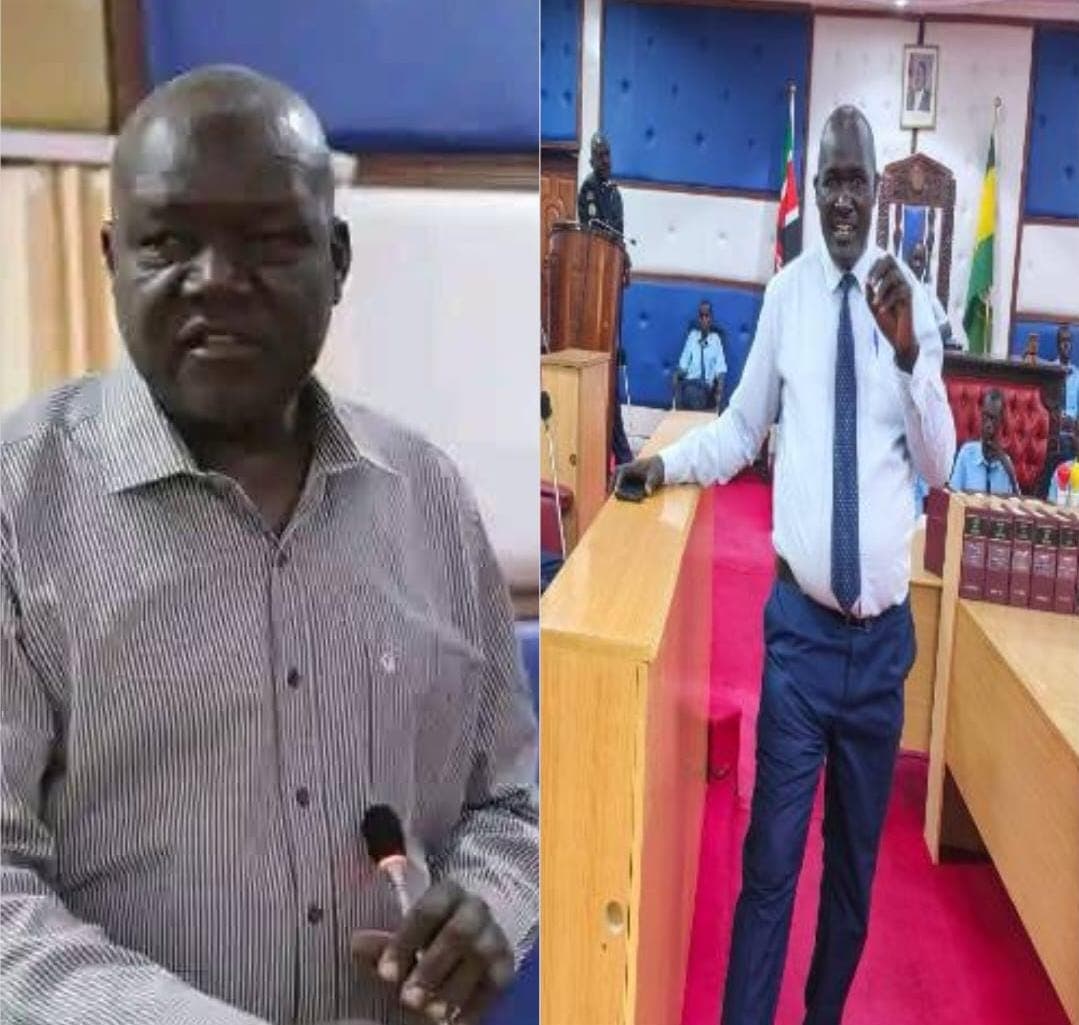 Court reinstates Turkana Assembly Majority Leader, Chief Whip