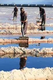 Magadi soda could be a game changer for Kenya’s industrialisation - CNBC Africa