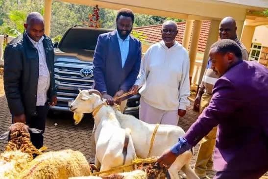 Methu checks on Oburu at home, bringing goats with him - the-star.co.ke
