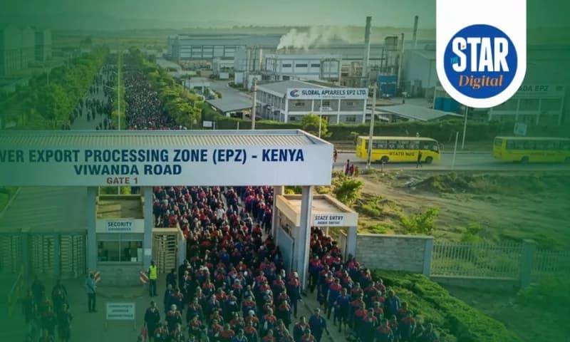 Number of newly created jobs by EPZs - the-star.co.ke