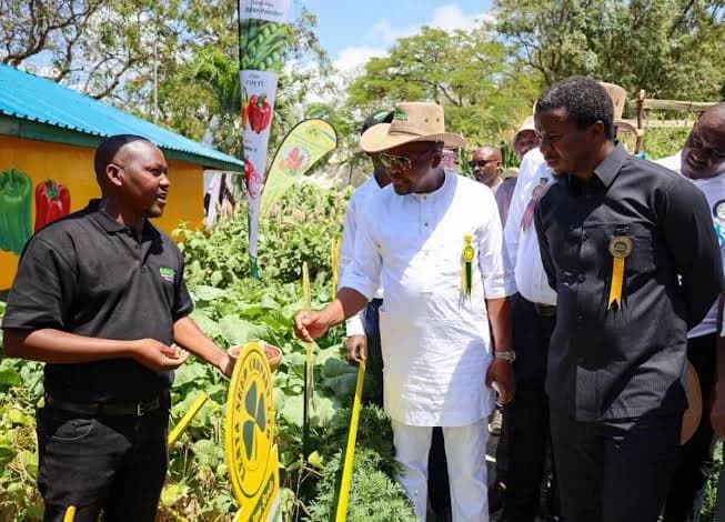 Gov't targets five Coast Counties to triple food production - Citizen Digital