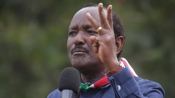 Kalonzo demands disclosure of firm taking over Magadi soda ash mining - Daily Nation