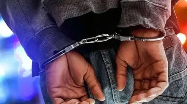 Suspected SGR vandal arrested after CCTV detects intrusion along railway corridor